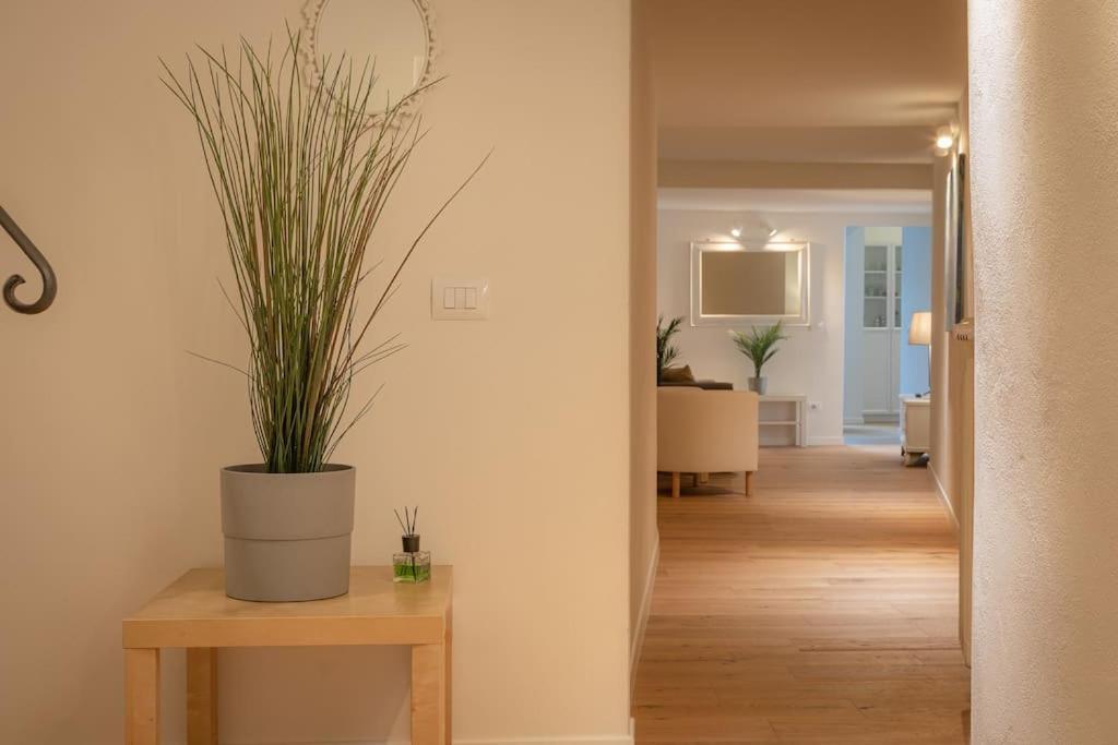 Borgo Pinti'S Duplex Apartment Firenze Kültér fotó
